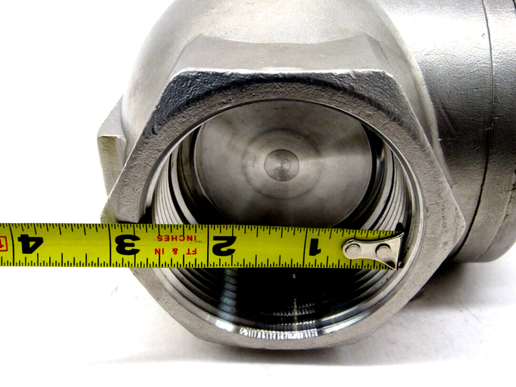 2 inch check valve