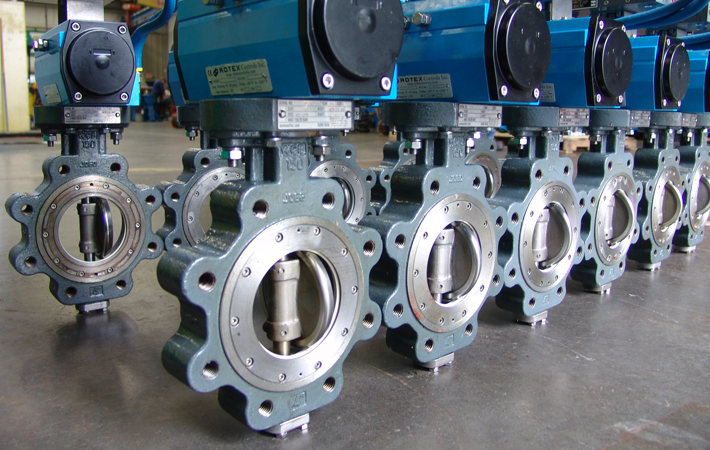 Double offset butterfly valves